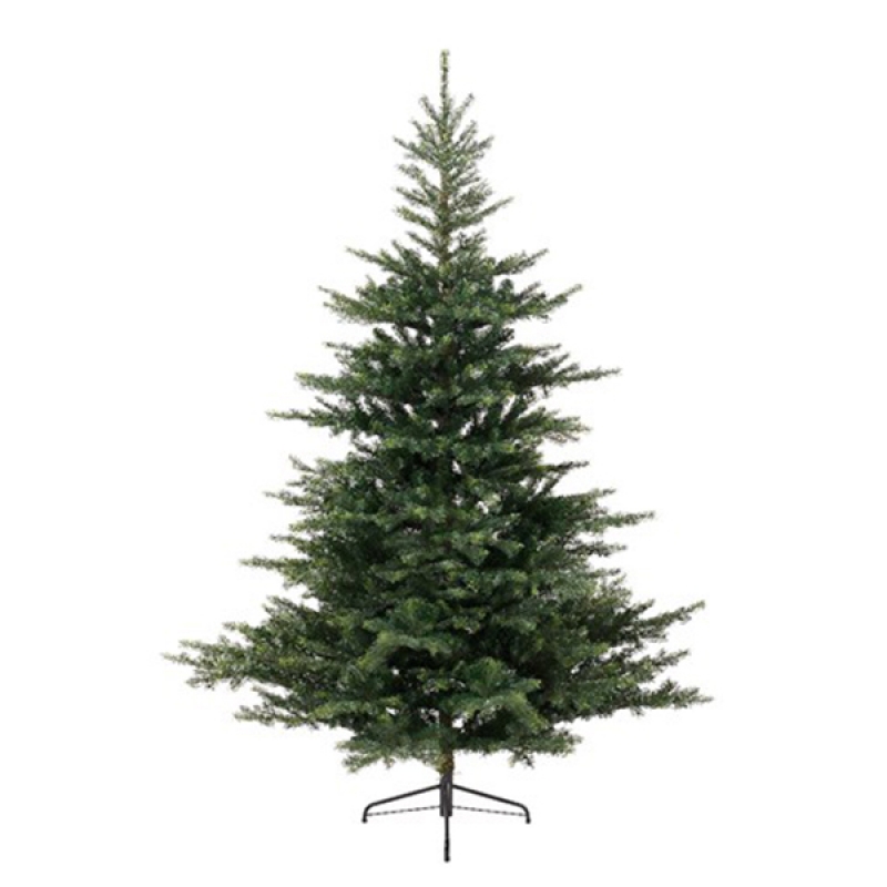 Novogodišnja jelka Grandis fir 150cm-111cm Everlands 68.1450