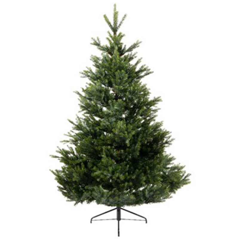 Novogodišnja jelka Arlberg fir 210cm-142cm Everlands 68.4382